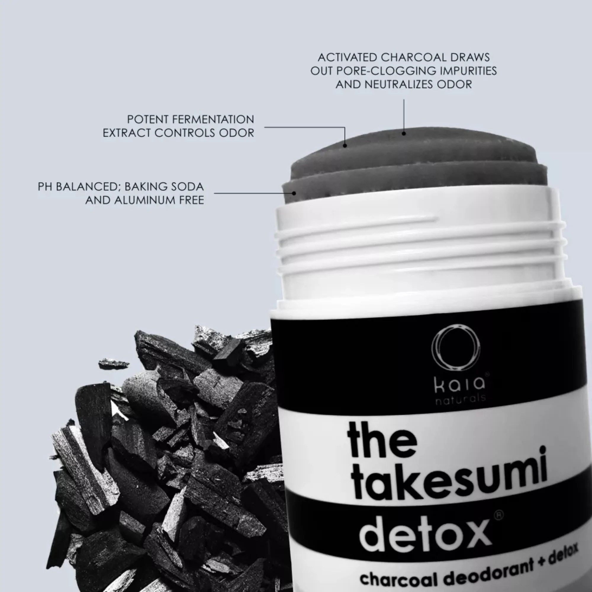 The Takesumi Detox - Nordic Frost - Image 3